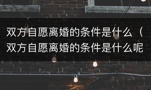 双方自愿离婚的条件是什么（双方自愿离婚的条件是什么呢）