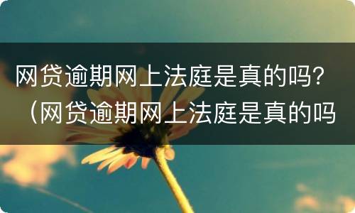 网贷逾期网上法庭是真的吗？（网贷逾期网上法庭是真的吗借呗）