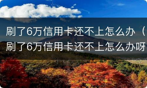 刷了6万信用卡还不上怎么办（刷了6万信用卡还不上怎么办呀）