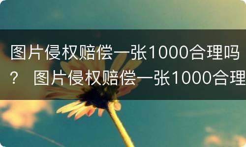 图片侵权赔偿一张1000合理吗？ 图片侵权赔偿一张1000合理吗为什么