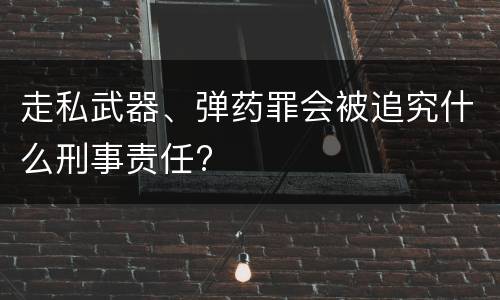 走私武器、弹药罪会被追究什么刑事责任?
