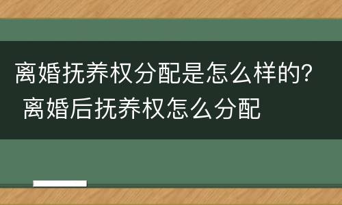 离婚抚养权分配是怎么样的？ 离婚后抚养权怎么分配