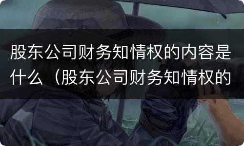 股东公司财务知情权的内容是什么（股东公司财务知情权的内容是什么意思）