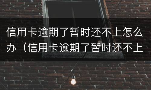 信用卡逾期了暂时还不上怎么办（信用卡逾期了暂时还不上怎么办会坐牢吗）