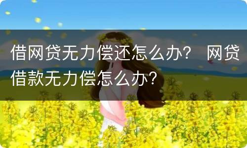 借网贷无力偿还怎么办？ 网贷借款无力偿怎么办?