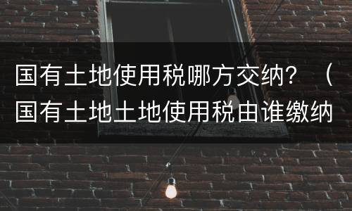 国有土地使用税哪方交纳？（国有土地土地使用税由谁缴纳）
