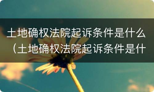 土地确权法院起诉条件是什么（土地确权法院起诉条件是什么意思）