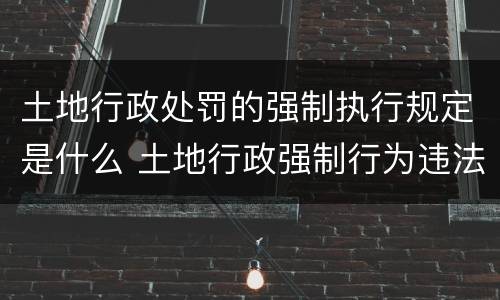 土地行政处罚的强制执行规定是什么 土地行政强制行为违法