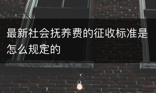 最新社会抚养费的征收标准是怎么规定的