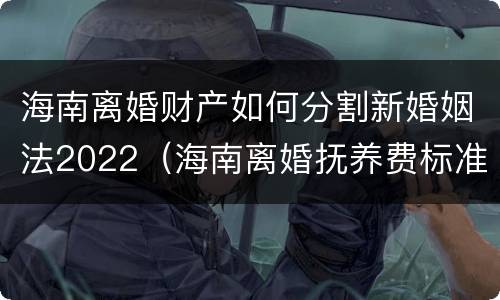 海南离婚财产如何分割新婚姻法2022（海南离婚抚养费标准）