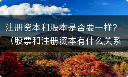 注册资本和股本是否要一样？（股票和注册资本有什么关系）