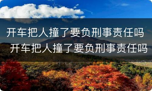开车把人撞了要负刑事责任吗 开车把人撞了要负刑事责任吗多少钱