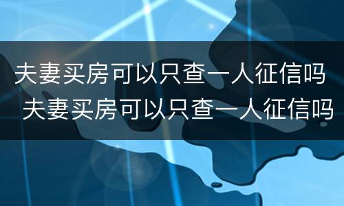 夫妻买房可以只查一人征信吗 夫妻买房可以只查一人征信吗天津