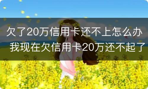欠了20万信用卡还不上怎么办 我现在欠信用卡20万还不起了怎么办
