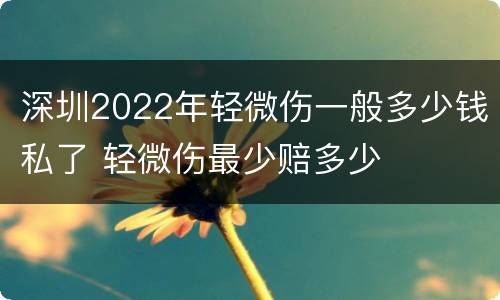 深圳2022年轻微伤一般多少钱私了 轻微伤最少赔多少