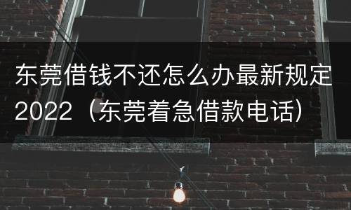 东莞借钱不还怎么办最新规定2022（东莞着急借款电话）