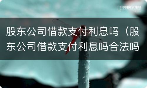 股东公司借款支付利息吗（股东公司借款支付利息吗合法吗）