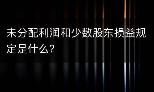 未分配利润和少数股东损益规定是什么？