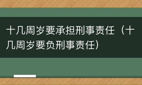十几周岁要承担刑事责任（十几周岁要负刑事责任）