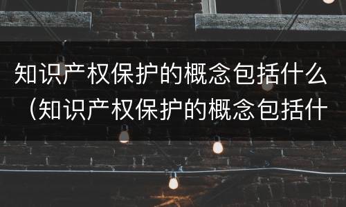 知识产权保护的概念包括什么（知识产权保护的概念包括什么和什么）