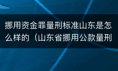 挪用资金罪量刑标准山东是怎么样的（山东省挪用公款量刑指导意见）