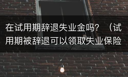 在试用期辞退失业金吗？（试用期被辞退可以领取失业保险金吗）