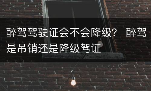 醉驾驾驶证会不会降级？ 醉驾是吊销还是降级驾证