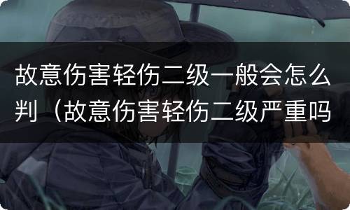 故意伤害轻伤二级一般会怎么判（故意伤害轻伤二级严重吗）