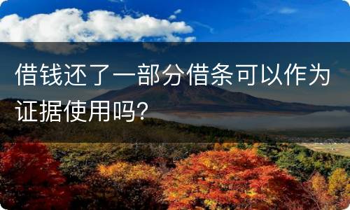 借钱还了一部分借条可以作为证据使用吗？