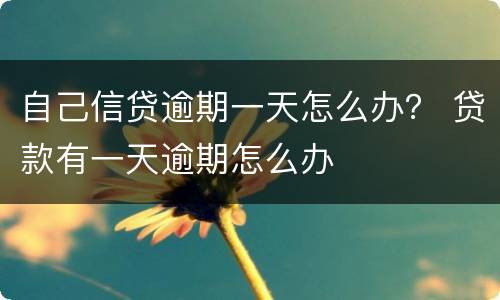 自己信贷逾期一天怎么办？ 贷款有一天逾期怎么办