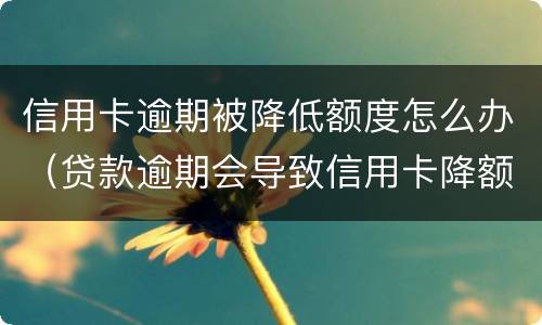 信用卡逾期被降低额度怎么办（贷款逾期会导致信用卡降额）