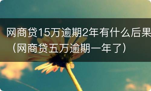 网商贷15万逾期2年有什么后果（网商贷五万逾期一年了）