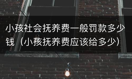 小孩社会抚养费一般罚款多少钱（小孩抚养费应该给多少）