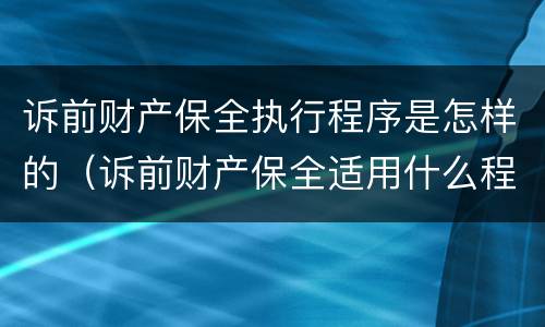 诉前财产保全执行程序是怎样的（诉前财产保全适用什么程序）