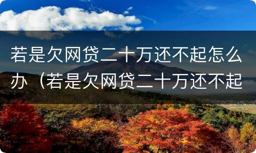 若是欠网贷二十万还不起怎么办（若是欠网贷二十万还不起怎么办呀）