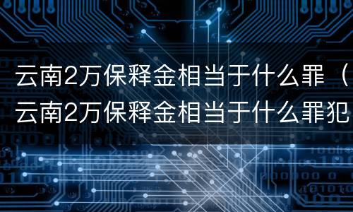 云南2万保释金相当于什么罪（云南2万保释金相当于什么罪犯）