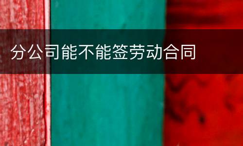 分公司能不能签劳动合同