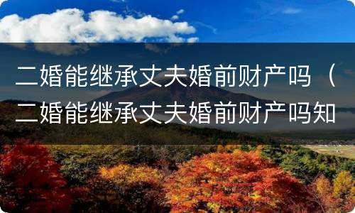 二婚能继承丈夫婚前财产吗（二婚能继承丈夫婚前财产吗知乎）