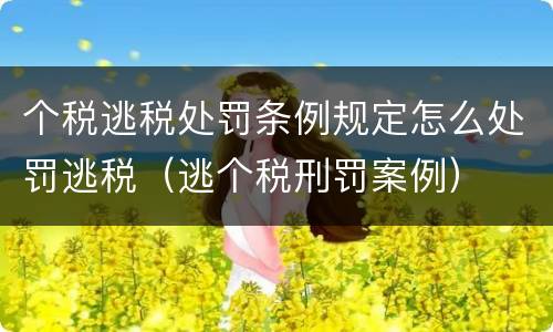 个税逃税处罚条例规定怎么处罚逃税（逃个税刑罚案例）