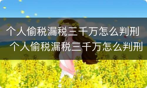 个人偷税漏税三千万怎么判刑 个人偷税漏税三千万怎么判刑的