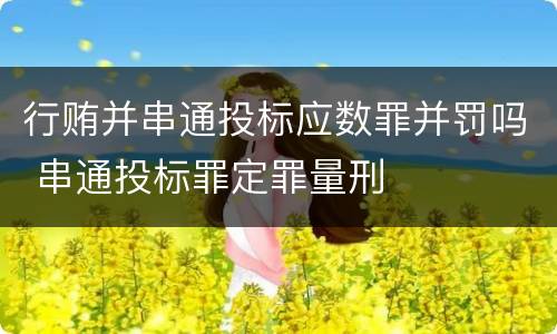 行贿并串通投标应数罪并罚吗 串通投标罪定罪量刑