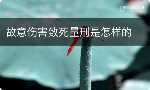 故意伤害致死量刑是怎样的