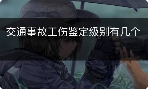 交通事故工伤鉴定级别有几个