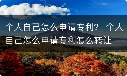 个人自己怎么申请专利？ 个人自己怎么申请专利怎么转让