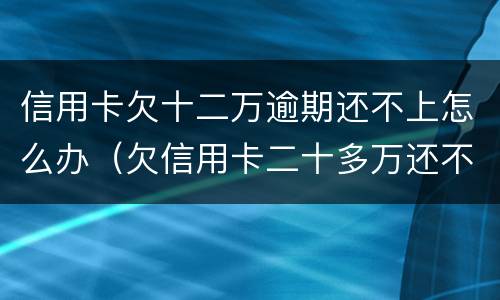 信用卡欠十二万逾期还不上怎么办（欠信用卡二十多万还不上怎么办）