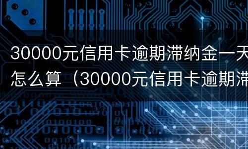 30000元信用卡逾期滞纳金一天怎么算（30000元信用卡逾期滞纳金一天怎么算呢）