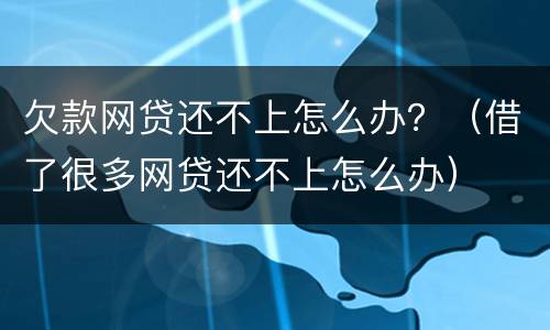 欠款网贷还不上怎么办？（借了很多网贷还不上怎么办）