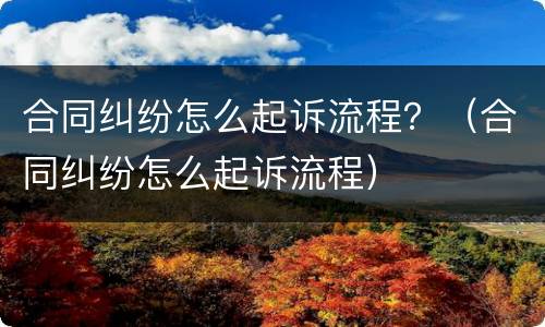 合同纠纷怎么起诉流程？（合同纠纷怎么起诉流程）