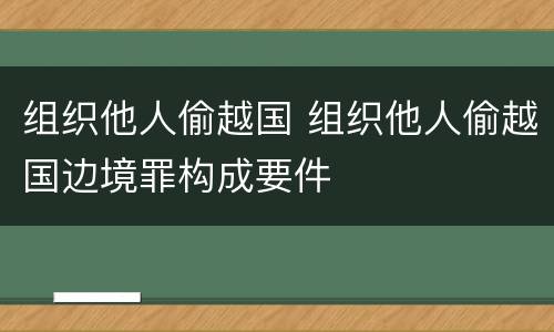 组织他人偷越国 组织他人偷越国边境罪构成要件