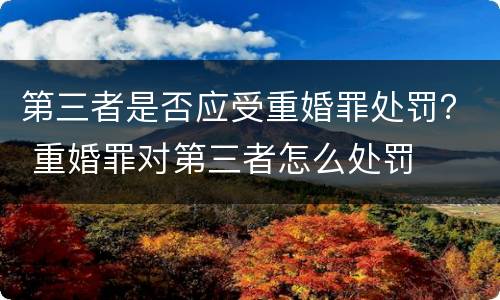 第三者是否应受重婚罪处罚？ 重婚罪对第三者怎么处罚